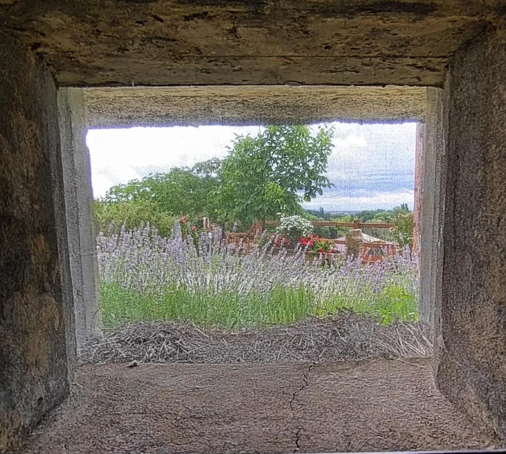 Au Bunker 67 Hotel Rott Eksteriør billede